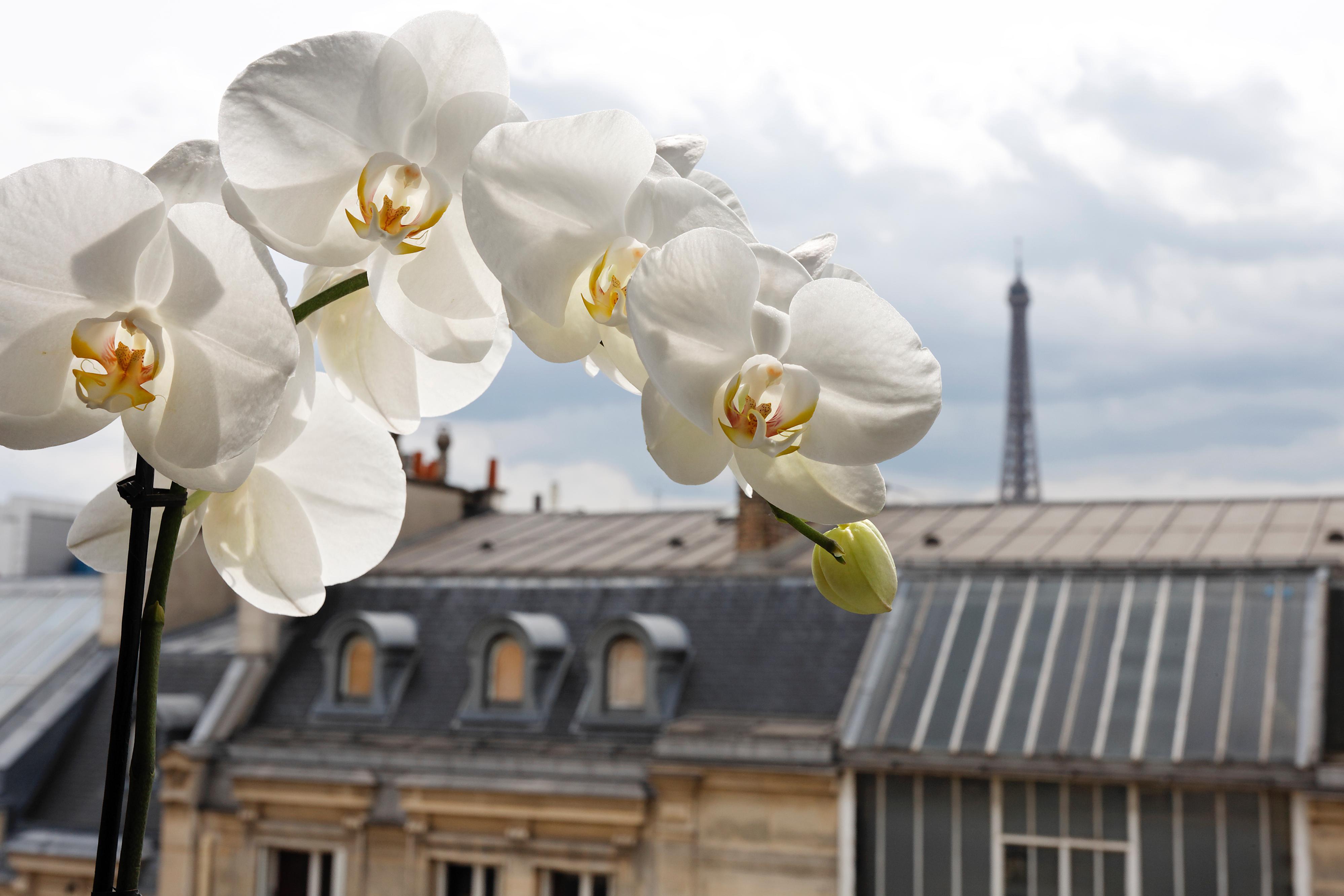 La Tremoille Paris Hotel Exterior photo